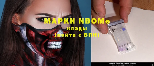 хмурый Покров