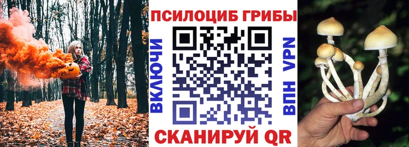 Псилоцибиновые грибы Cubensis Бирюч